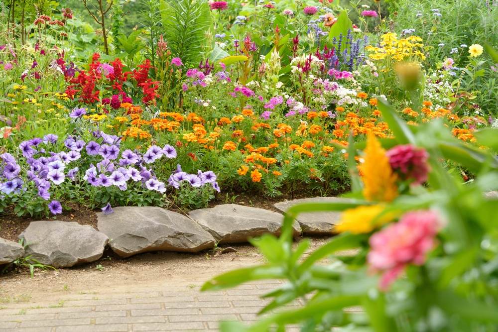 flower beds 