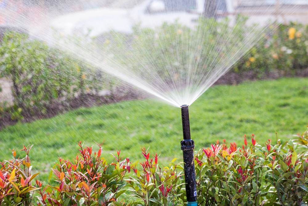 sprinkler head watering the bush and grass in the garden