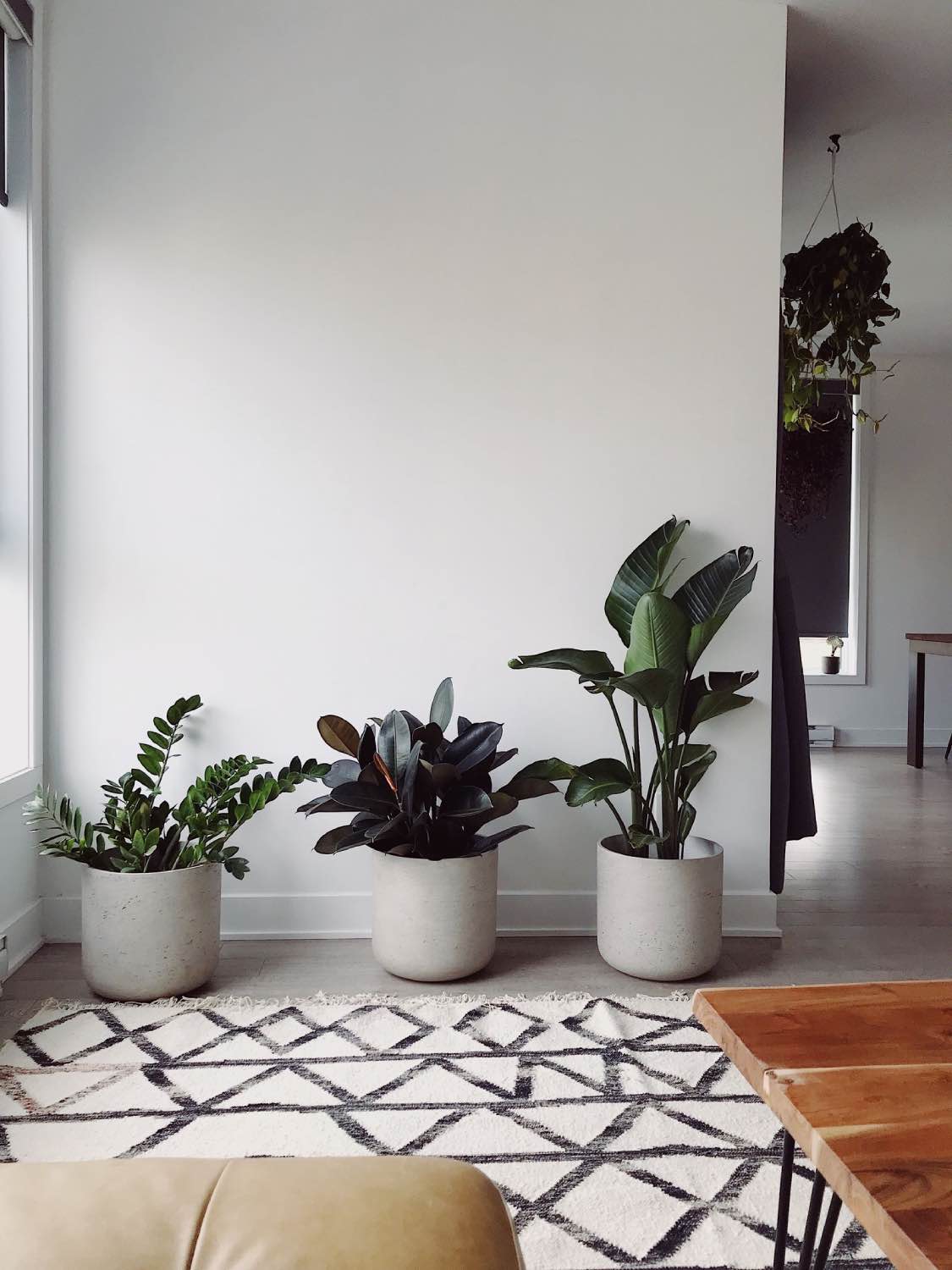 6 tendencias de decoración para 2025, diseño biofílico con plantas